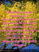 Tanawan Nisa Massage