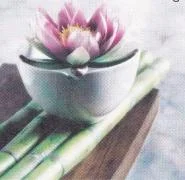 ZANYA Thai Massage Rosersberg